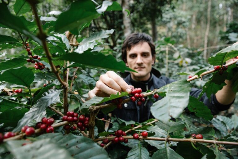 How to Choose Ethically Sourced Coffee: A Consumer’s Guide