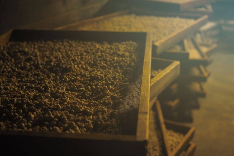 How Koikuchi Soy Sauce Is Made 