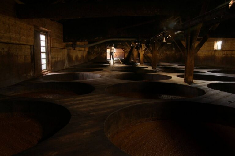 Kioke vs. Tank: Two Approaches to Soy Sauce Brewing
